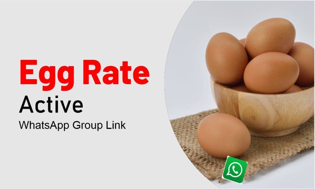 Egg Rate WhatsApp Group Links